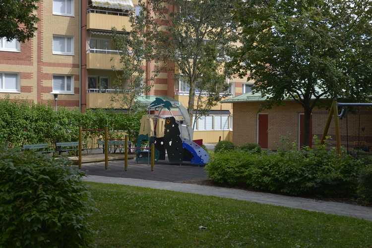 BRF trädets lokaler