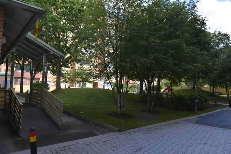 BRF trädets lokaler