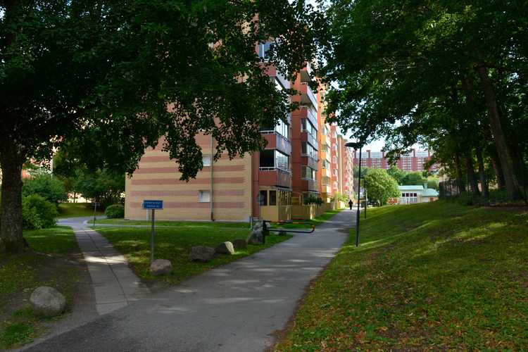 BRF trädets lokaler