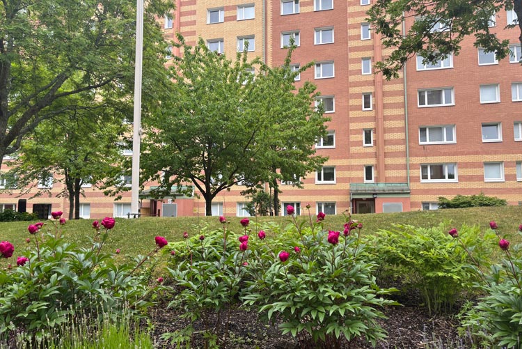 BRF trädets lokaler