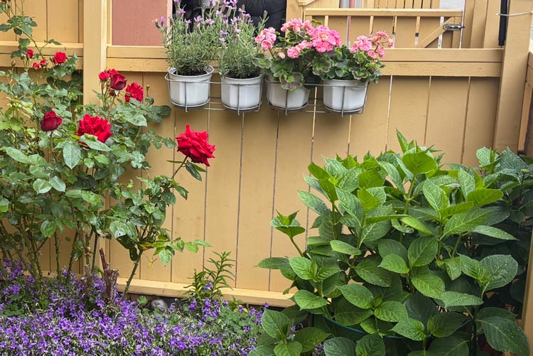 BRF trädets lokaler