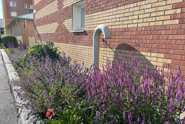 BRF trädets lokaler