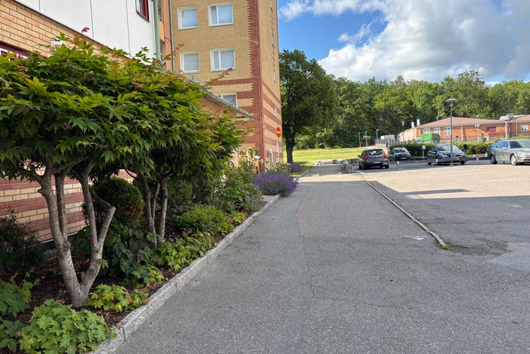 BRF trädets lokaler