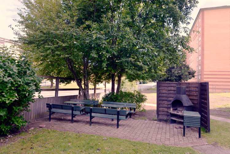 BRF trädets lokaler