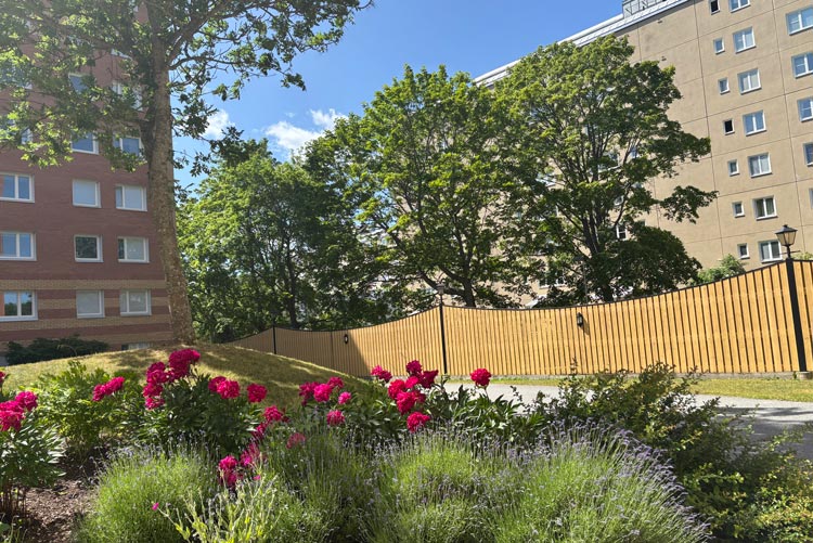 BRF trädets lokaler