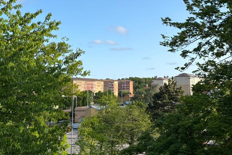 BRF trädets lokaler