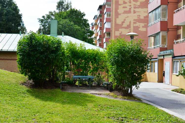 BRF trädets lokaler